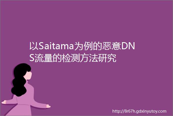 以Saitama为例的恶意DNS流量的检测方法研究